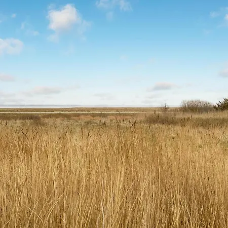 Stunning In With Sauna Ringkøbing